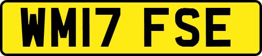 WM17FSE