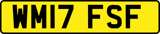 WM17FSF