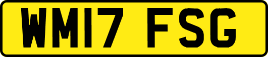 WM17FSG