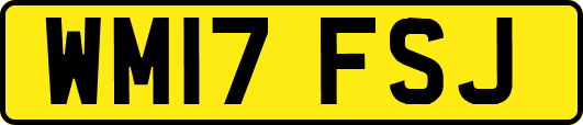 WM17FSJ