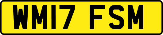 WM17FSM