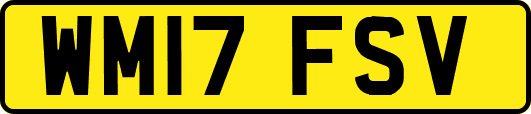 WM17FSV
