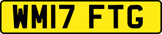 WM17FTG