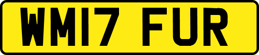WM17FUR