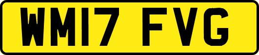 WM17FVG