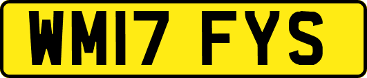 WM17FYS