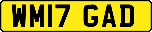 WM17GAD