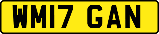 WM17GAN