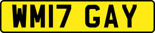 WM17GAY