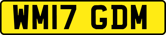 WM17GDM