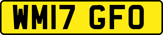 WM17GFO