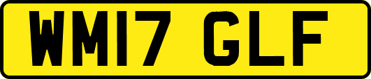 WM17GLF
