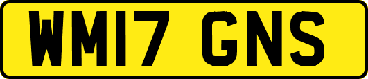 WM17GNS