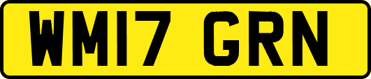 WM17GRN