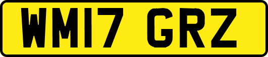 WM17GRZ