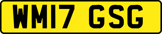 WM17GSG