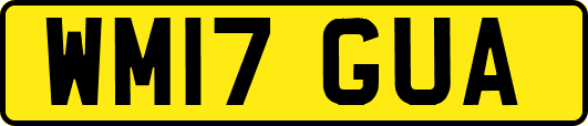 WM17GUA