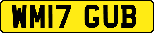 WM17GUB