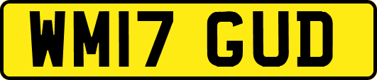 WM17GUD