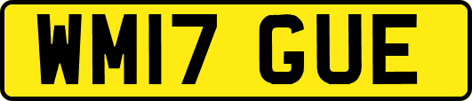 WM17GUE