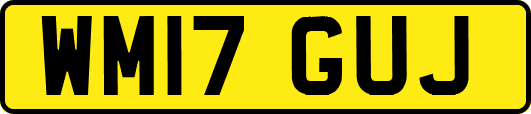 WM17GUJ