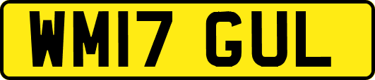 WM17GUL