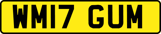 WM17GUM