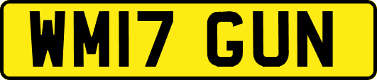 WM17GUN