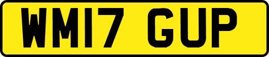 WM17GUP