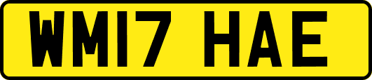 WM17HAE