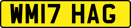 WM17HAG