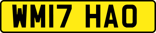WM17HAO