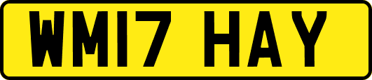 WM17HAY