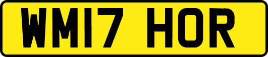WM17HOR