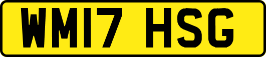 WM17HSG