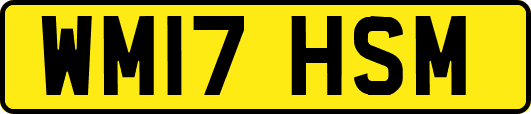 WM17HSM