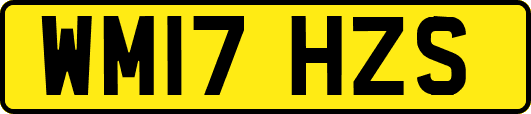 WM17HZS