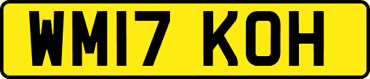 WM17KOH