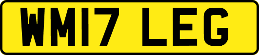 WM17LEG