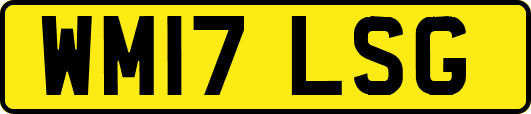 WM17LSG