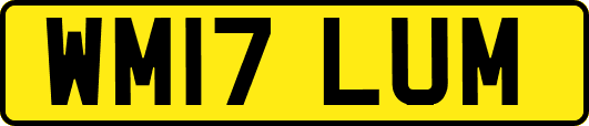 WM17LUM