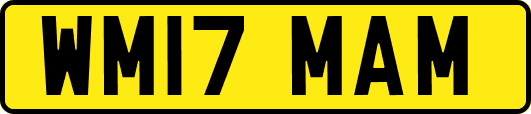 WM17MAM