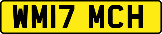 WM17MCH