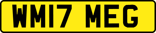 WM17MEG