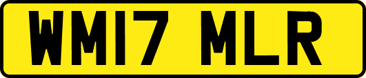 WM17MLR