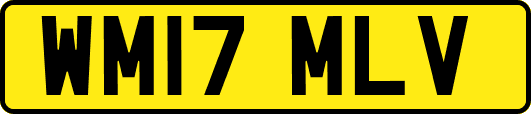WM17MLV