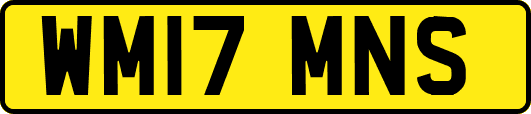 WM17MNS
