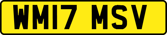 WM17MSV