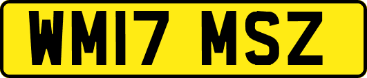 WM17MSZ