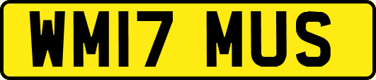 WM17MUS